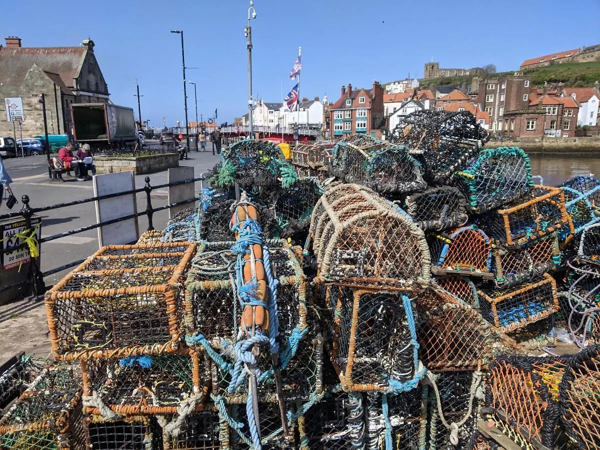 Whitby Sea View Cottage Holiday home